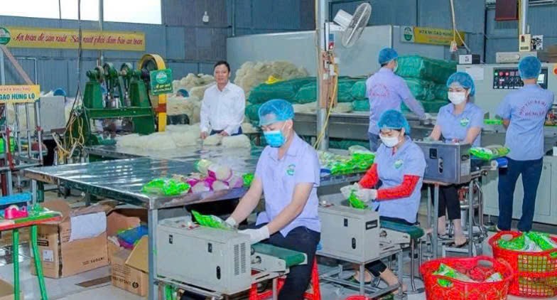 Nút thắt của nông sản sạch - để OCOP không còn lạc lõng