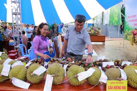 khanh hoa thuc day tieu dung so mo rong co hoi cho san pham ocop va dac san dia phuong