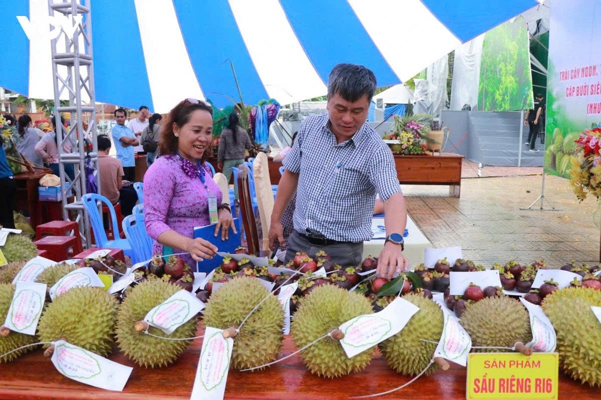 Khánh Hòa thúc đẩy tiêu dùng số, mở rộng cơ hội cho sản phẩm OCOP và đặc sản địa phương