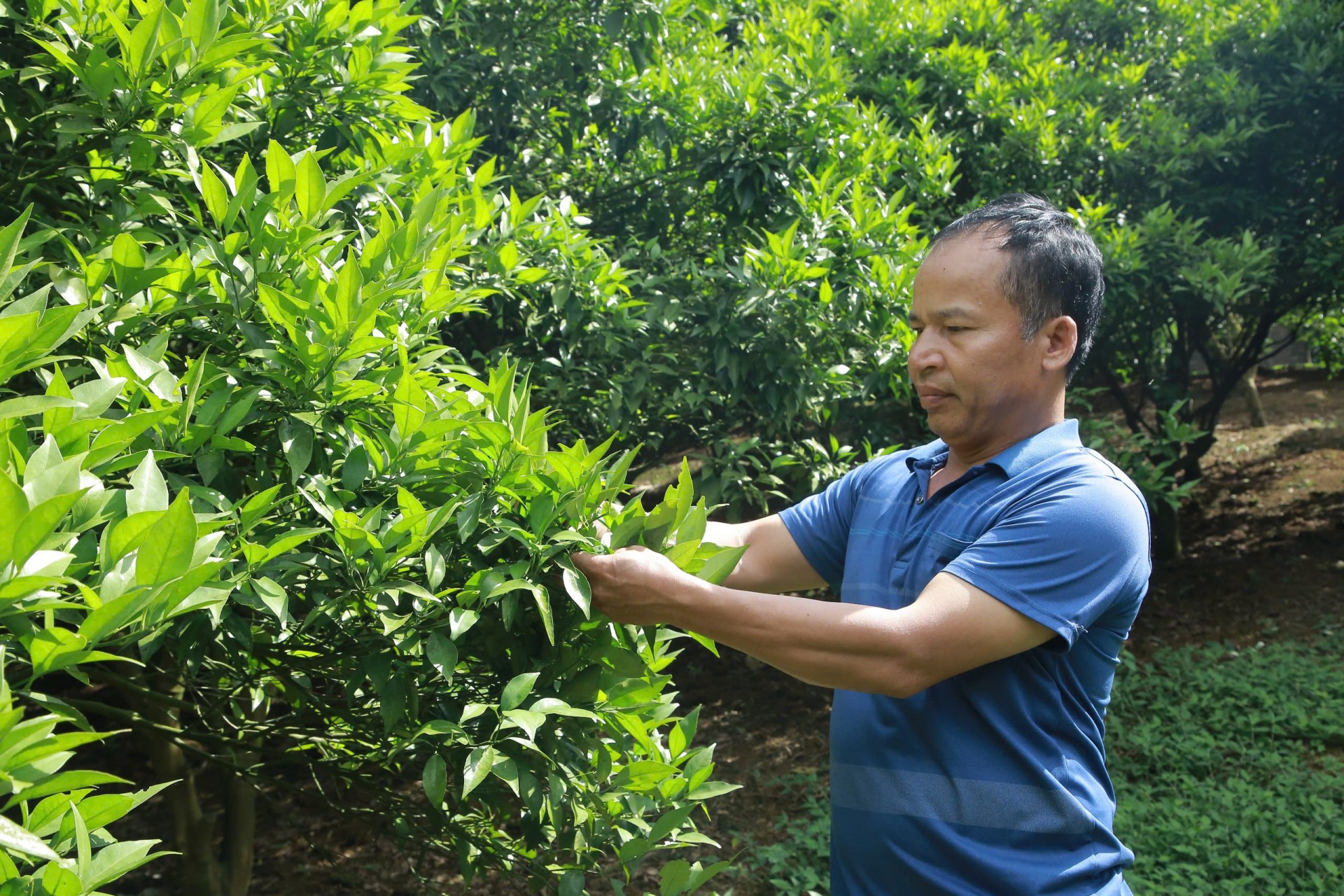 Vân Sơn bứt phá từ du lịch trải nghiệm và nông nghiệp chế biến sâu