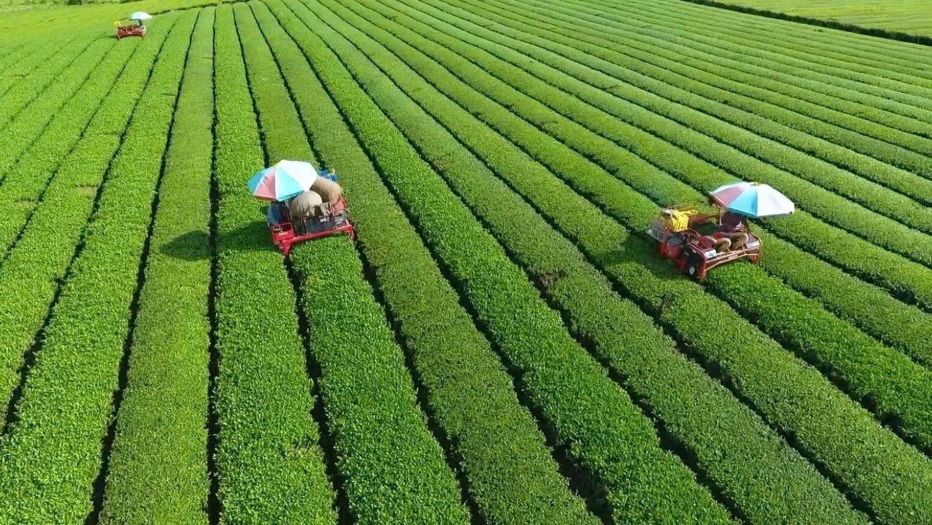 Nông nghiệp công nghệ cao đến du lịch sinh thái: Mạch sống mới của Vân Hồ Nông nghiệp công nghệ cao đến du lịch sinh thái: Mạch sống mới của Vân Hồ