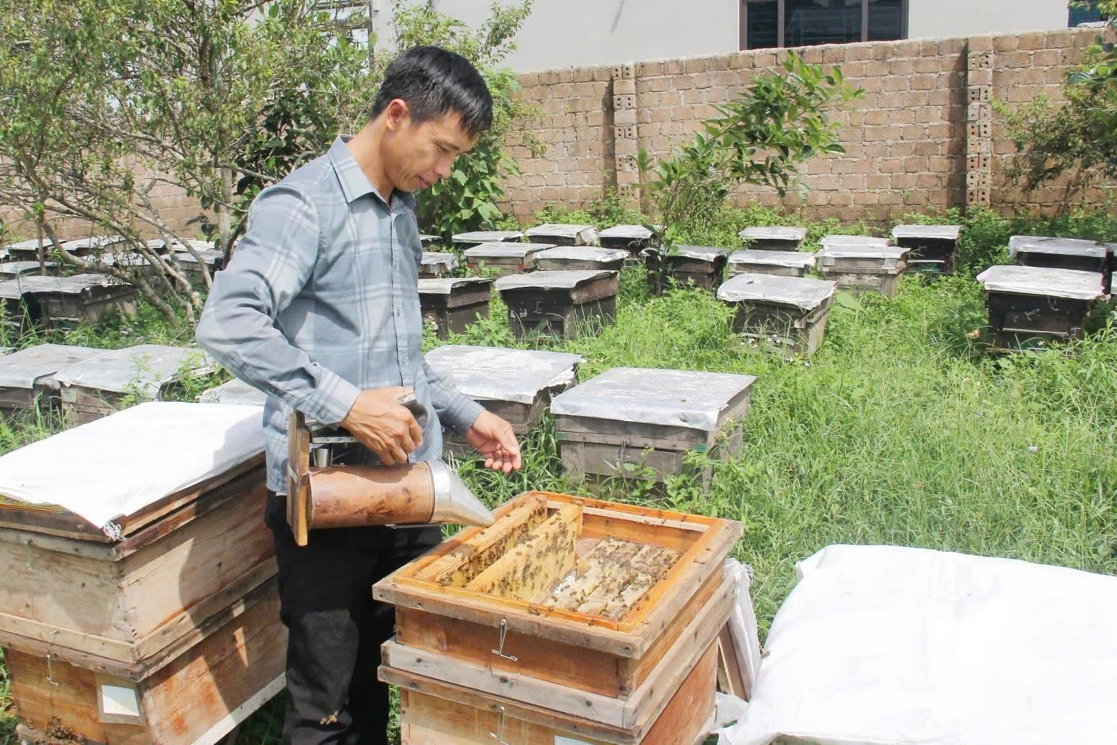 Nông nghiệp công nghệ cao đến du lịch sinh thái: Mạch sống mới của Vân Hồ Nông nghiệp công nghệ cao đến du lịch sinh thái: Mạch sống mới của Vân Hồ