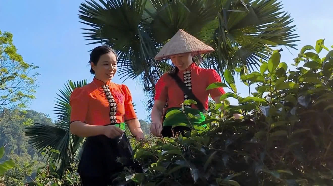 Nông nghiệp công nghệ cao đến du lịch sinh thái: Mạch sống mới của Vân Hồ Nông nghiệp công nghệ cao đến du lịch sinh thái: Mạch sống mới của Vân Hồ