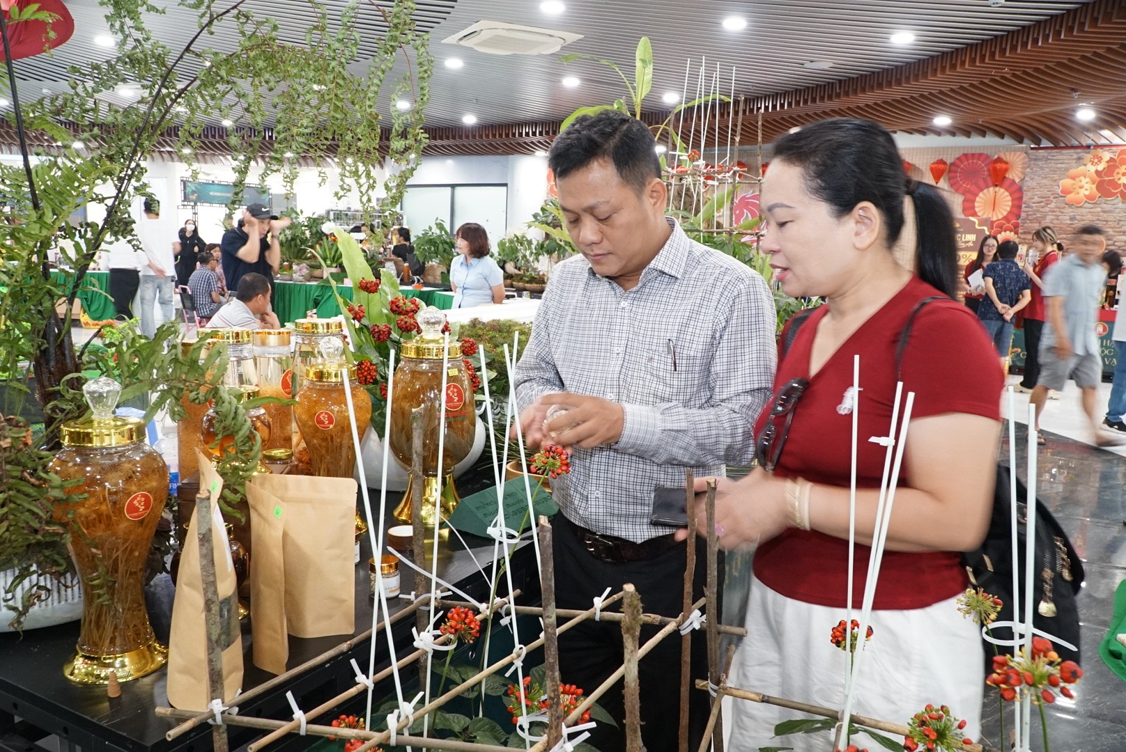 Giải bài toán đưa sâm Ngọc Linh trở thành thương hiệu toàn cầu Giải bài toán đưa sâm Ngọc Linh trở thành thương hiệu toàn cầu