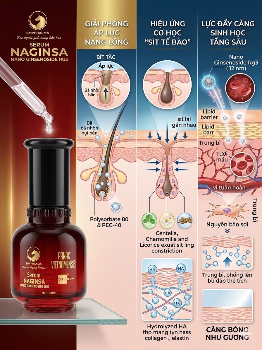 Giải bài toán đưa sâm Ngọc Linh trở thành thương hiệu toàn cầu Giải bài toán đưa sâm Ngọc Linh trở thành thương hiệu toàn cầu