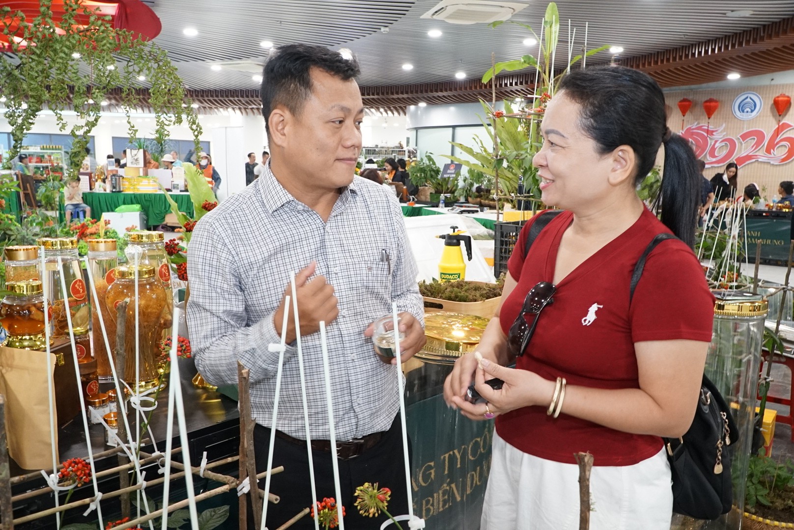 Chiến lược đưa sâm Ngọc Linh thoát mác 'giá trên trời'