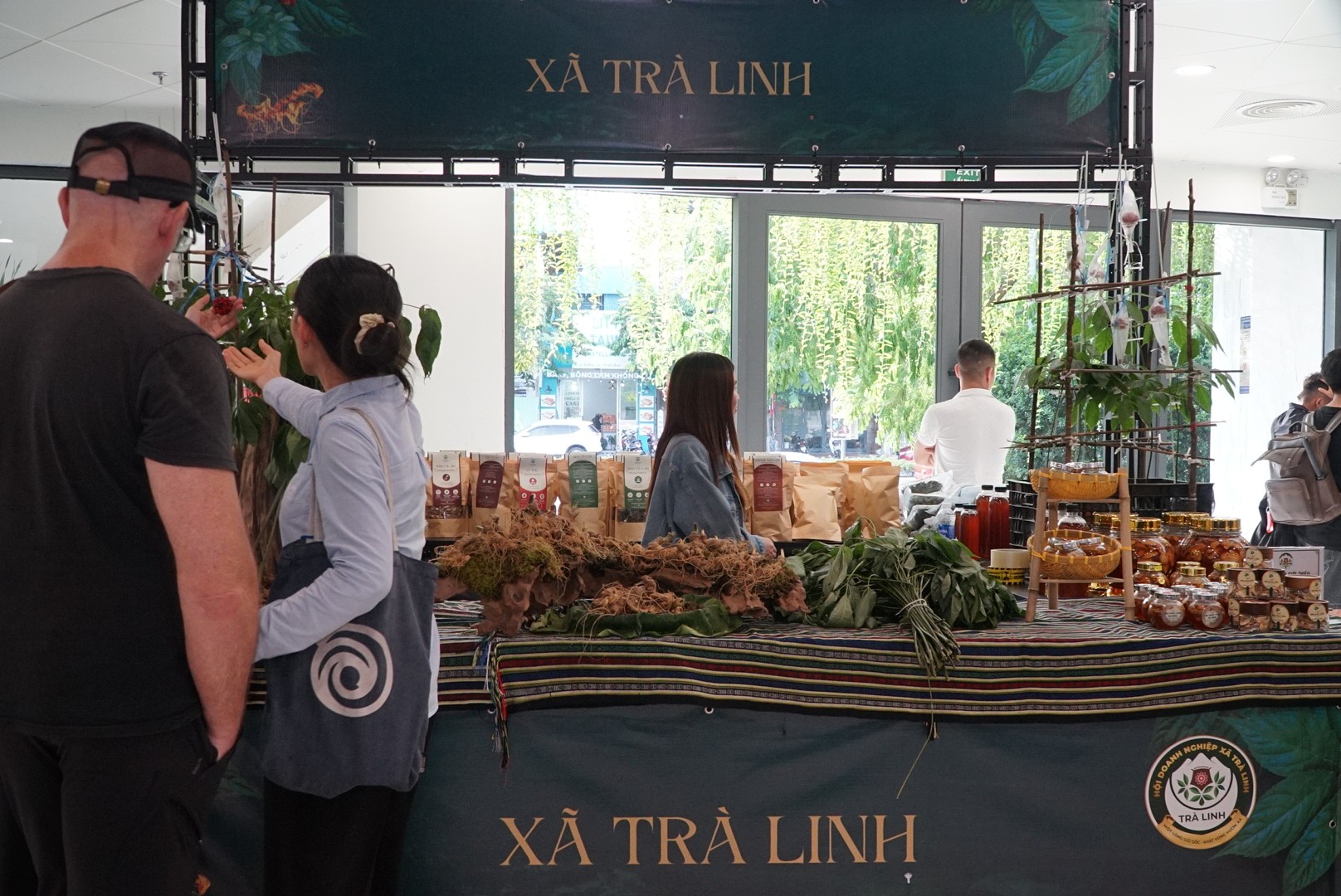 Gỡ “rào pháp lý” để sâm Ngọc Linh vươn ra toàn cầu Gỡ “rào pháp lý” để sâm Ngọc Linh vươn ra toàn cầu