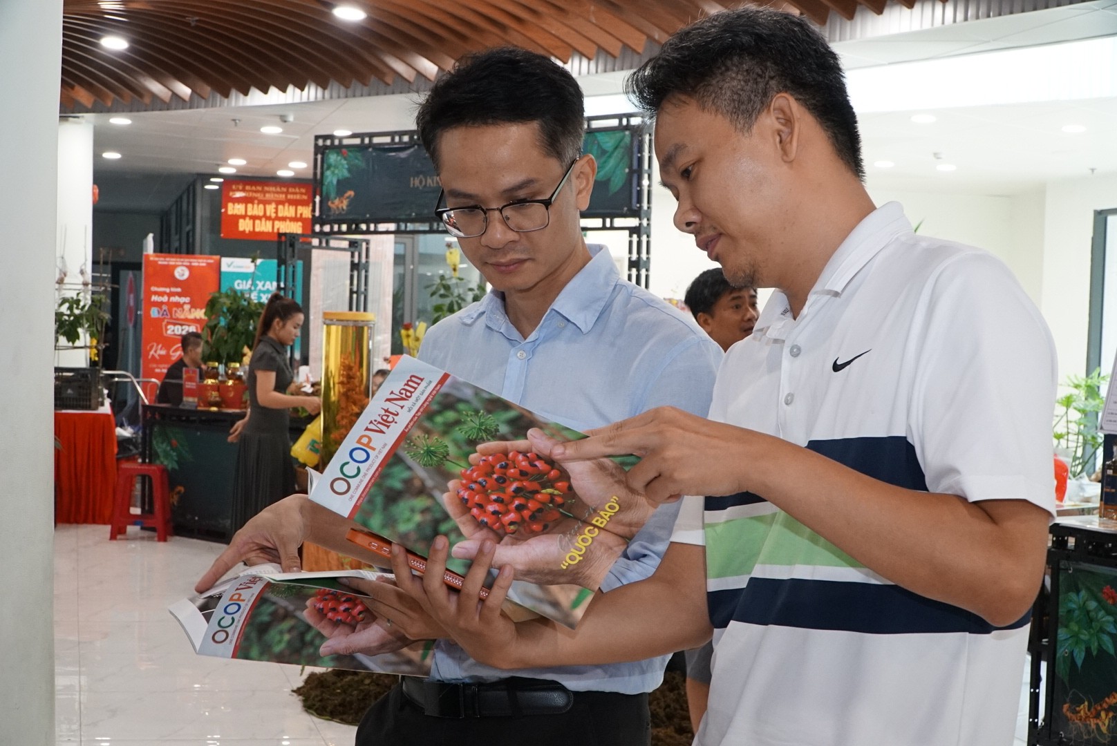 Chiến lược đưa sâm Ngọc Linh thoát mác 'giá trên trời'