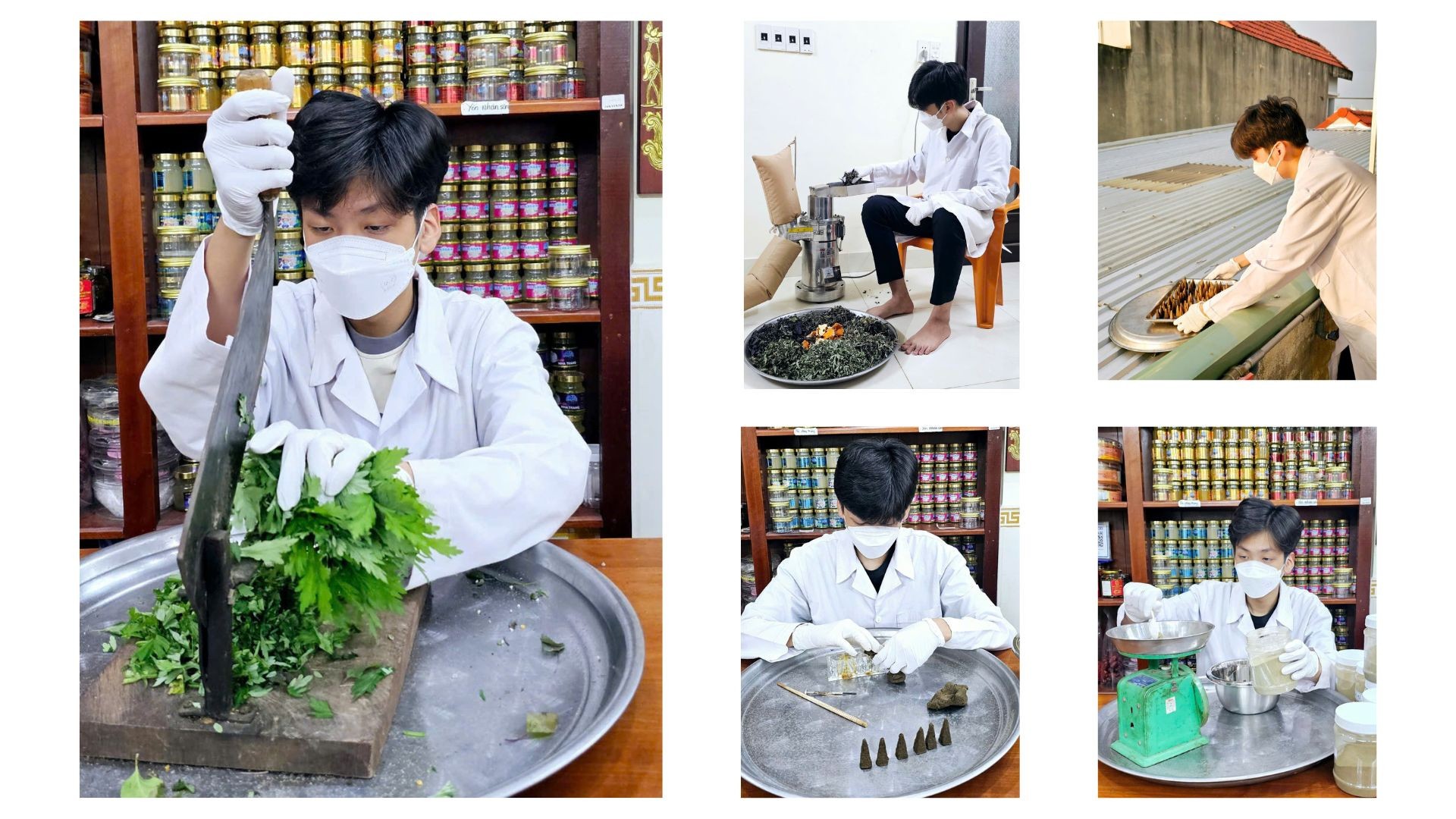 Khởi nghiệp từ mảnh vườn dược liệu gia truyền Khởi nghiệp từ mảnh vườn dược liệu gia truyền