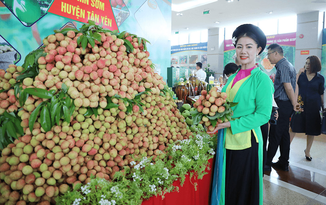 Bắc Ninh chuẩn bị tổ chức Hội chợ Công Thương khu vực phía Bắc năm 2026
