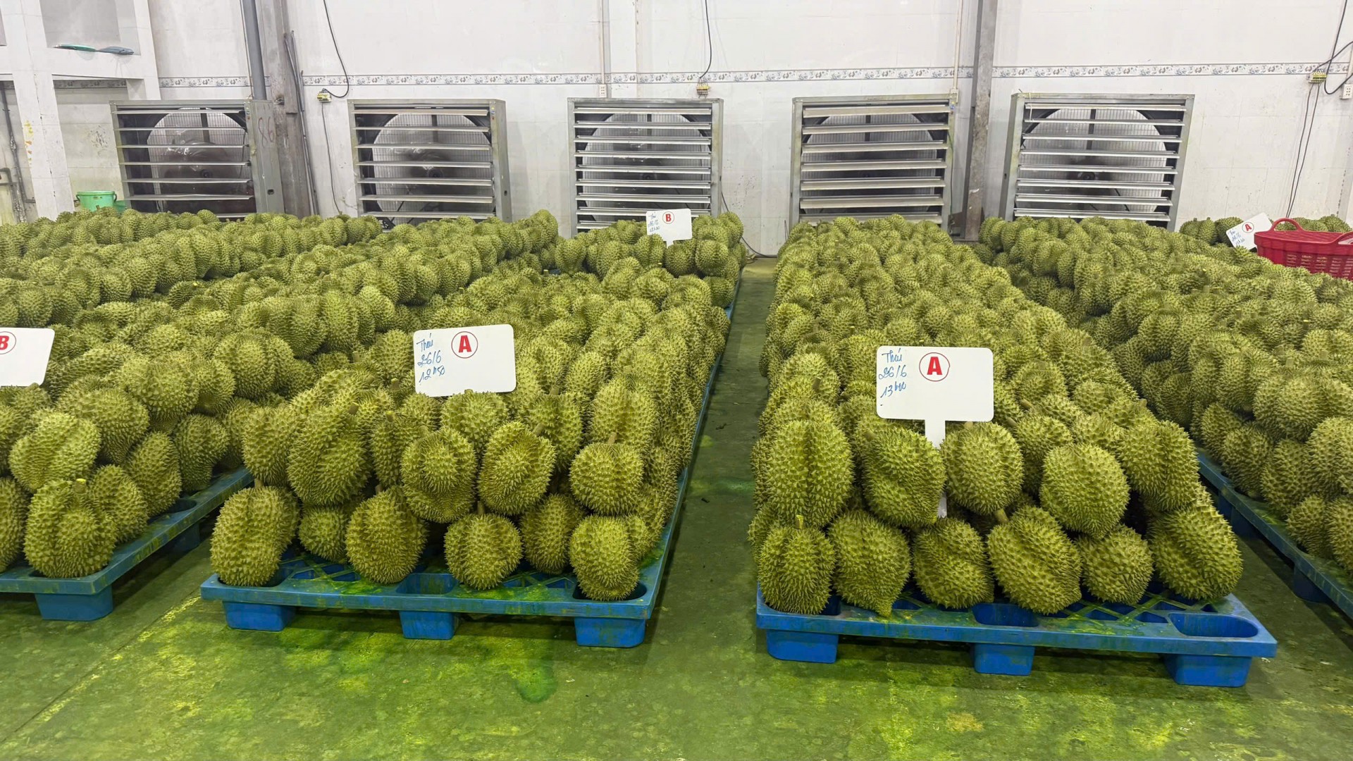 Vượt 