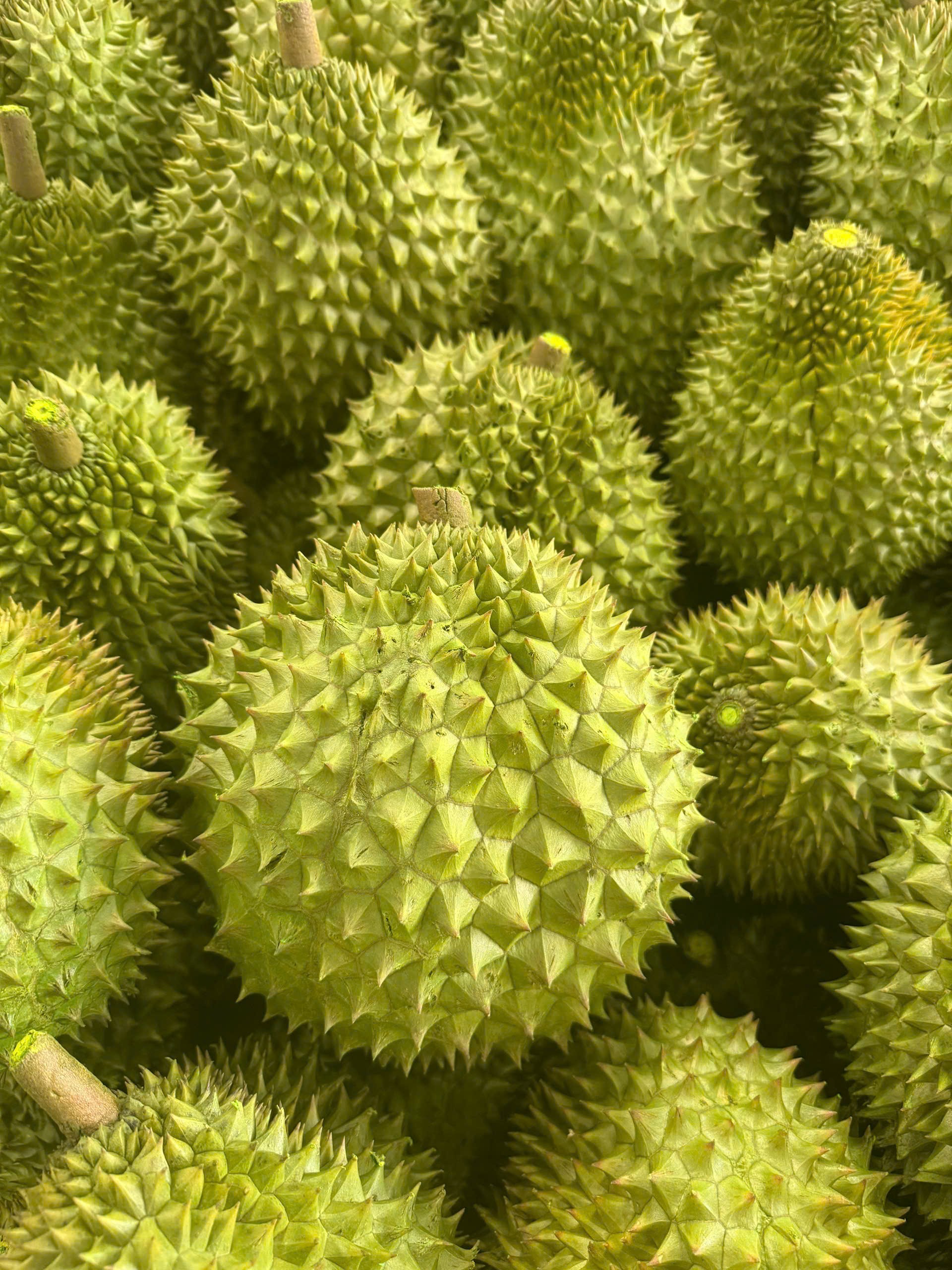 Vượt 