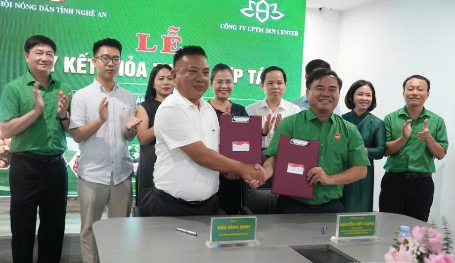 Thêm kênh tiêu thụ cho nông sản, sản phẩm OCOP Nghệ An