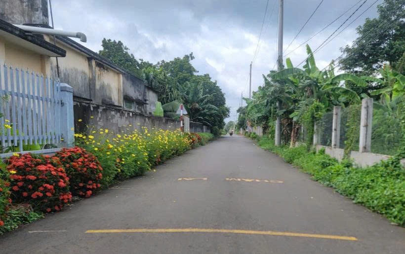 TP. Hồ Chí Minh ban hành bộ tiêu chí xã nông thôn mới giai đoạn 2026-2030