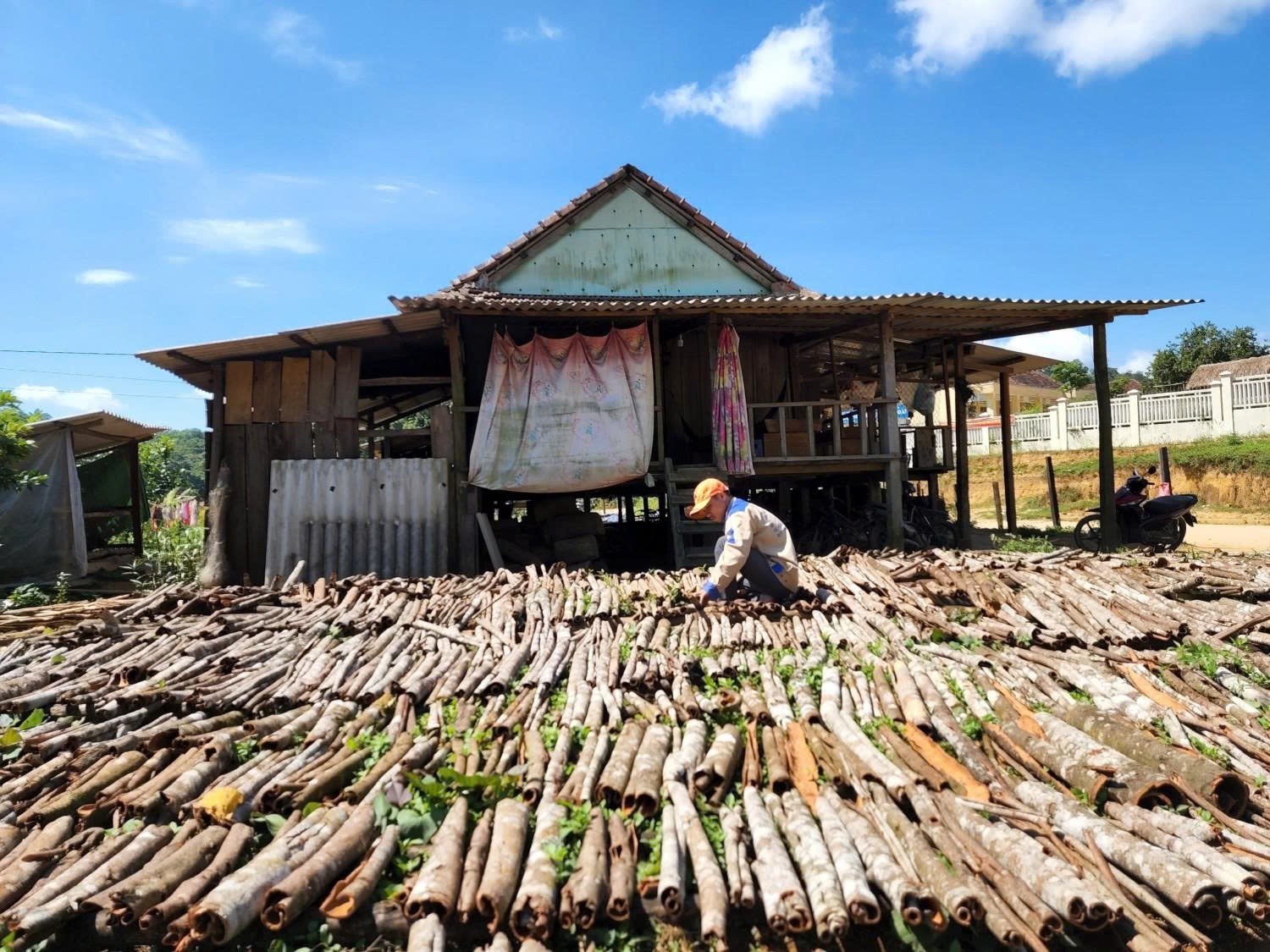 Thảo dược Việt Nam - Từ nguyên liệu thô đến ngành kinh tế tỷ USD
