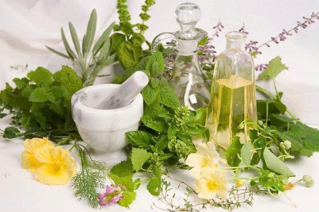 Thảo dược Việt Nam - Từ nguyên liệu thô đến ngành kinh tế tỷ USD