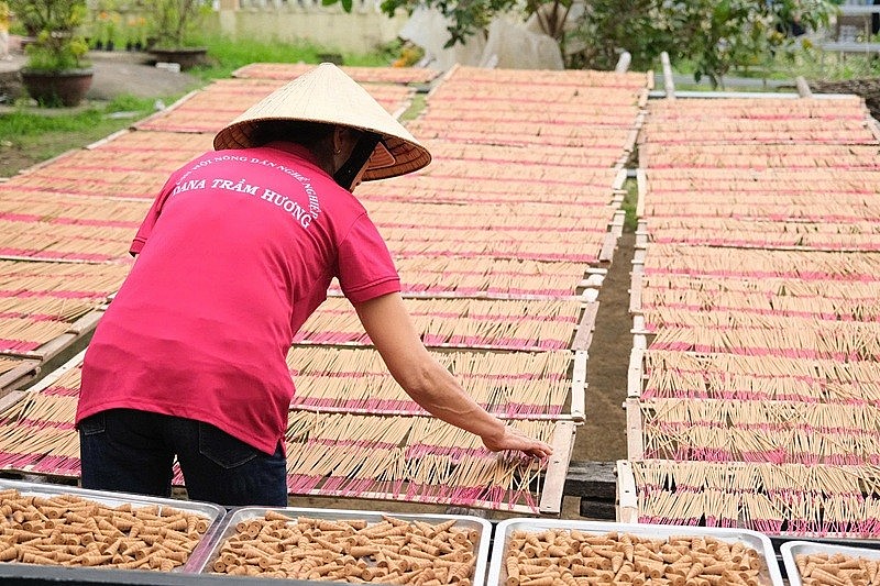 Bên cạnh hoạt động kinh doanh, Dana Trầm Hương còn lồng ghép trải nghiệm thực tế vào hành trình du lịch, giúp du khách hiểu rõ hơn về giá trị văn hóa đằng sau cây Dó Bầu xứ Quảng Bên cạnh hoạt động kinh doanh, Dana Trầm Hương còn lồng ghép trải nghiệm thực tế vào hành trình du lịch, giúp du khách hiểu rõ hơn về giá trị văn hóa đằng sau cây Dó Bầu xứ Quảng