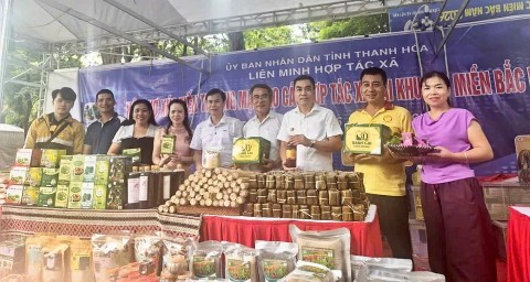 thanh hoa co 5 hop tac xa tham gia hoi cho xuc tien thuong mai khu vuc mien bac