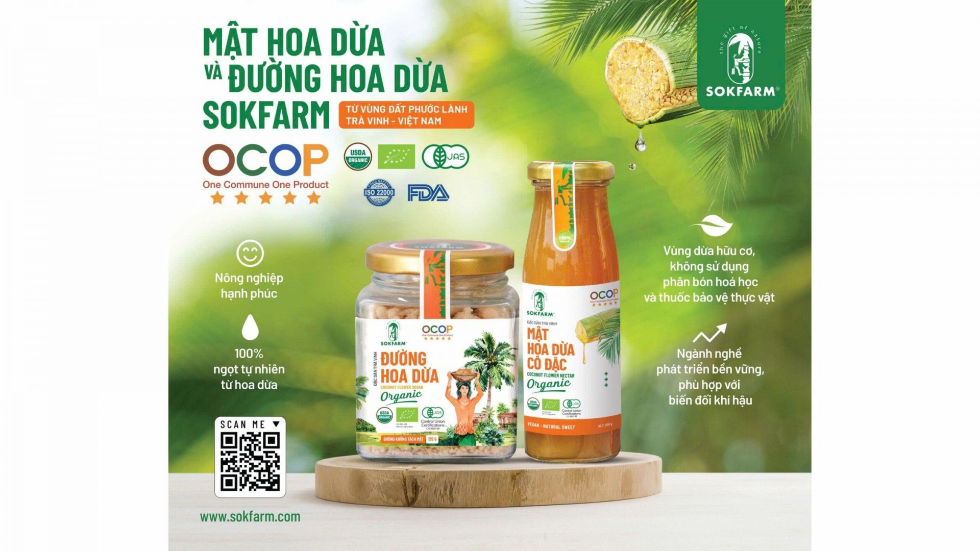 Mật hoa dừa Trà Vinh: Nâng tầm vị ngọt bản địa