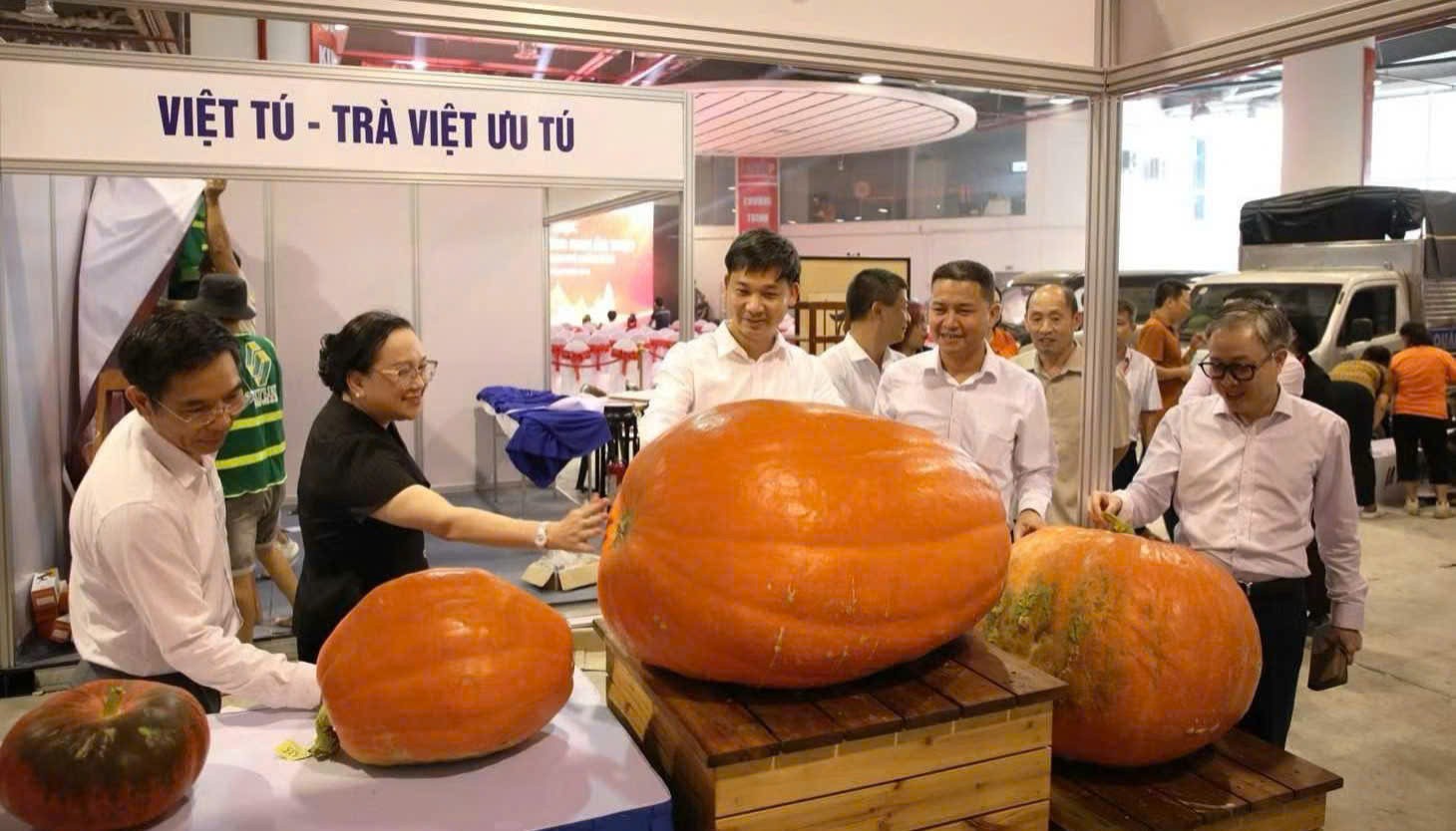 Quảng Ninh gấp rút hoàn thiện không gian OCOP, ẩm thực trước ngày hội lớn