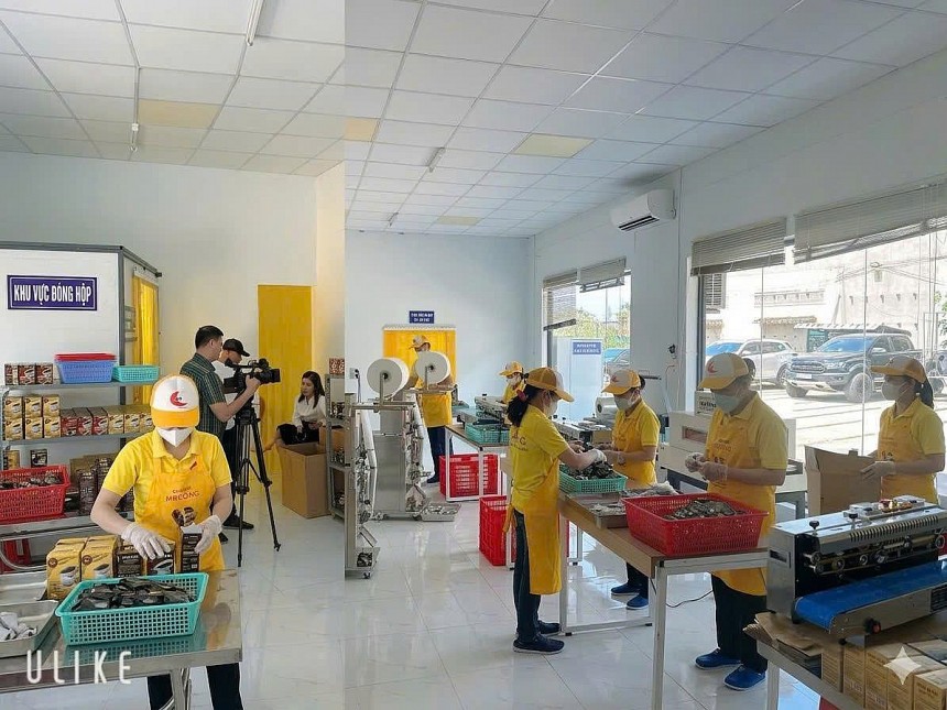 Doanh nghiệp chủ động biến lợi thế thổ nhưỡng tự nhiên thành sức mạnh cạnh tranh thông qua chuẩn hóa toàn diện hệ thống vận hành, đảm bảo chất lượng sản phẩm luôn ổn định Doanh nghiệp chủ động biến lợi thế thổ nhưỡng tự nhiên thành sức mạnh cạnh tranh thông qua chuẩn hóa toàn diện hệ thống vận hành, đảm bảo chất lượng sản phẩm luôn ổn định