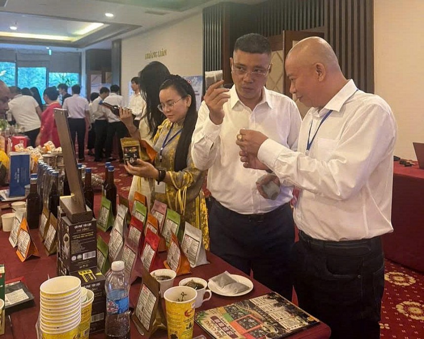 Giám đốc Công Ty TNHH TM DV XK Cà Phê Mộc Mr Công giới thiệu, quảng bá sản phẩm đến người tiêu dùng Giám đốc Công Ty TNHH TM DV XK Cà Phê Mộc Mr Công giới thiệu, quảng bá sản phẩm đến người tiêu dùng