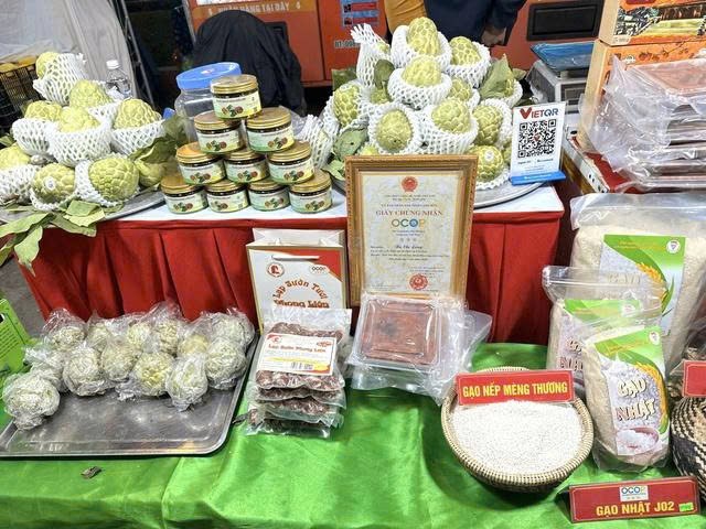 34 tỉnh thành hội tụ tại Festival OCOP Việt Nam 2026 ở phố đi bộ Nguyễn Huệ 34 tỉnh thành hội tụ tại Festival OCOP Việt Nam 2026 ở phố đi bộ Nguyễn Huệ