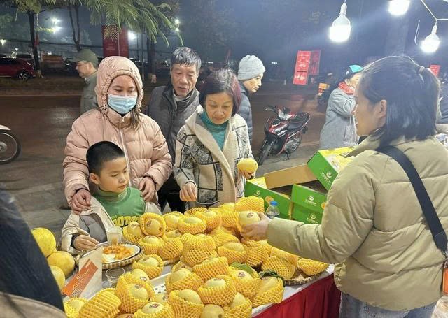 34 tỉnh thành hội tụ tại Festival OCOP Việt Nam 2026 ở phố đi bộ Nguyễn Huệ 34 tỉnh thành hội tụ tại Festival OCOP Việt Nam 2026 ở phố đi bộ Nguyễn Huệ