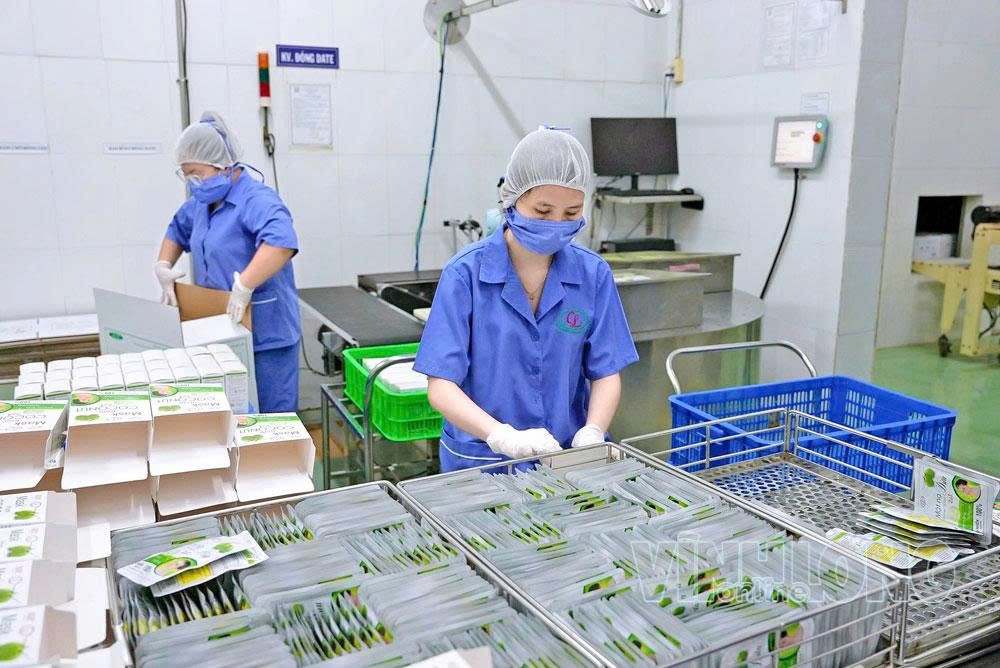 Phụ nữ Vĩnh Long nâng giá trị sản vật địa phương qua OCOP