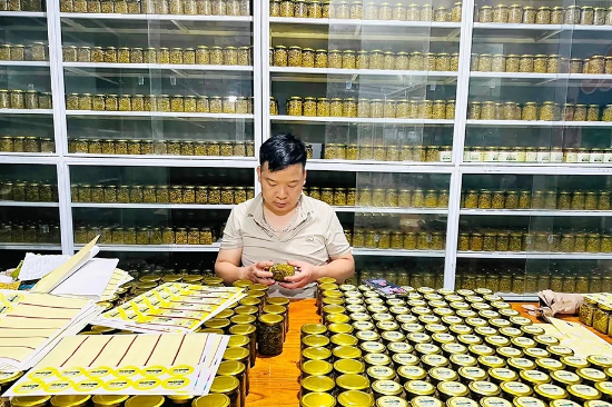 Từ vị cay của ớt núi Rẽ Vơng đến sản phẩm OCOP Phú Lương