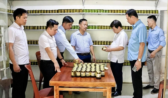 Từ vị cay của ớt núi Rẽ Vơng đến sản phẩm OCOP Phú Lương