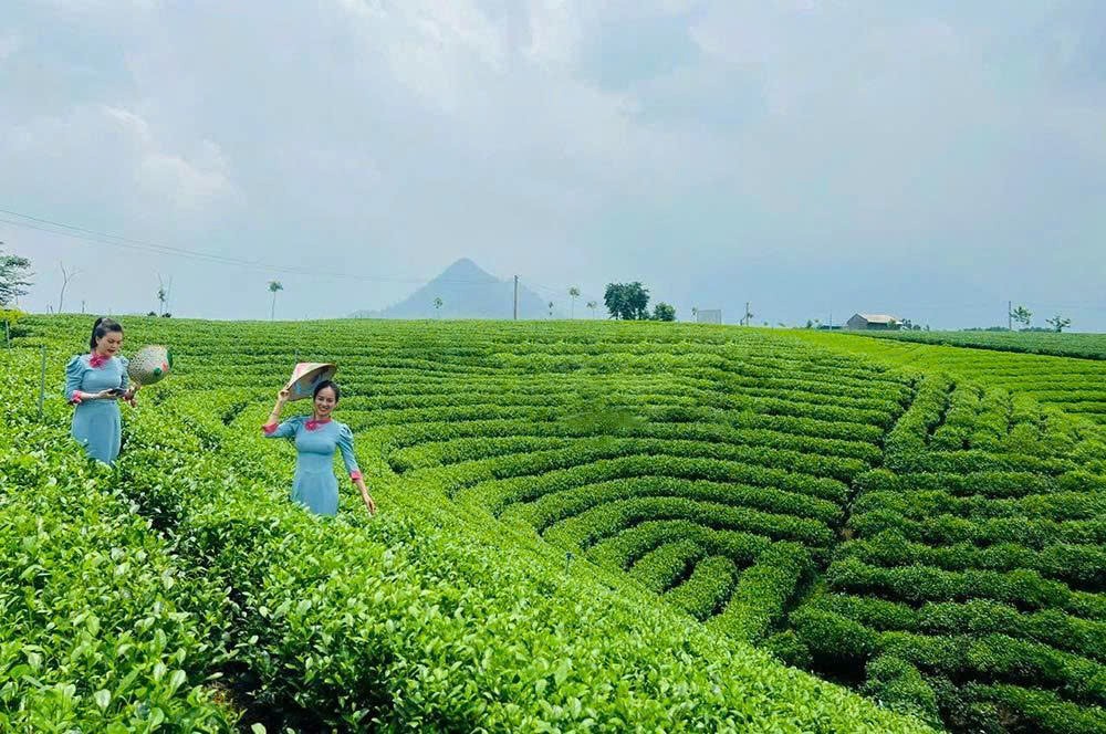 Thái Nguyên mở rộng chính sách vay vốn phát triển du lịch cộng đồng Thái Nguyên mở rộng chính sách vay vốn phát triển du lịch cộng đồng