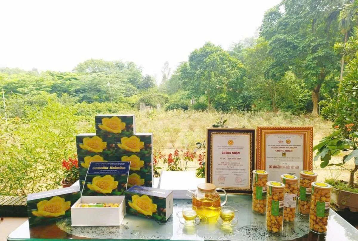 Hà Nội mở rộng hệ sinh thái hỗ trợ phụ nữ khởi nghiệp trong chuyển đổi số Hà Nội mở rộng hệ sinh thái hỗ trợ phụ nữ khởi nghiệp trong chuyển đổi số
