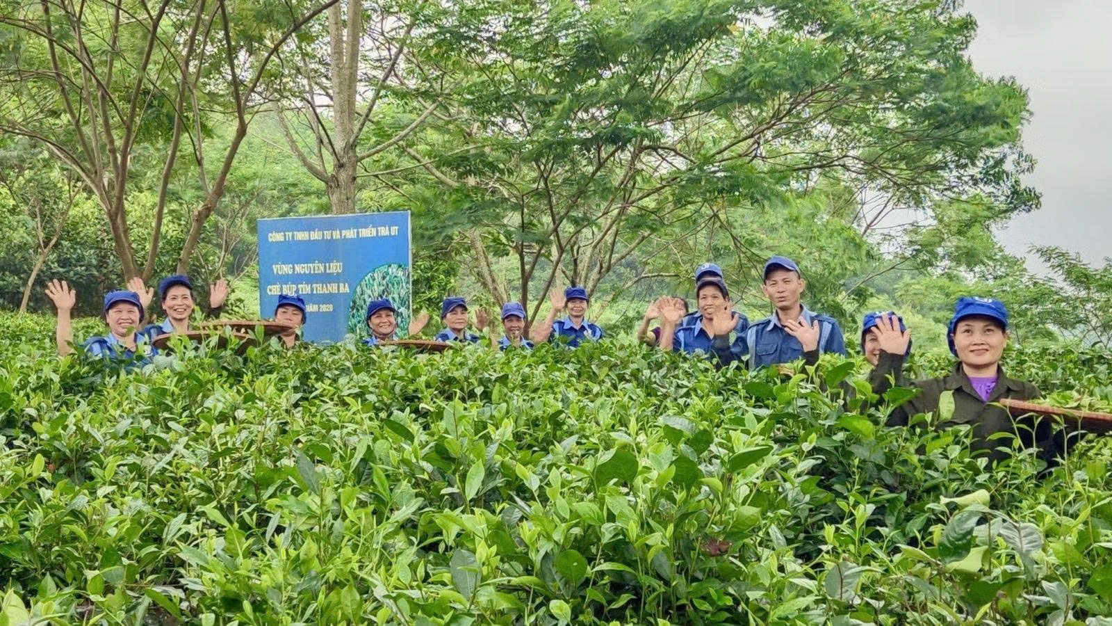 Phú Thọ chuyển OCOP từ xếp hạng sao sang chuỗi giá trị Phú Thọ chuyển OCOP từ xếp hạng sao sang chuỗi giá trị