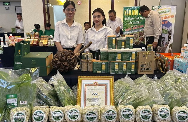 TP.HCM siết chất lượng OCOP, rà soát hơn 1.000 sản phẩm TP.HCM siết chất lượng OCOP, rà soát hơn 1.000 sản phẩm