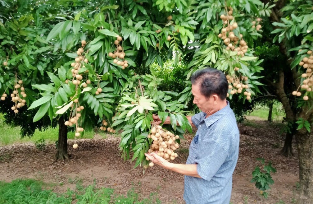 Đặc sản Việt mở rộng đường ra thị trường quốc tế Đặc sản Việt mở rộng đường ra thị trường quốc tế