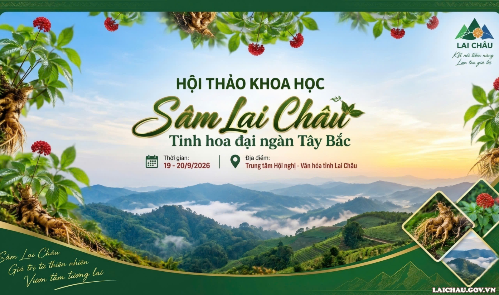 Lai Châu tổ chức hội thảo khoa học về phát triển Sâm Lai Châu Lai Châu tổ chức hội thảo khoa học về phát triển Sâm Lai Châu