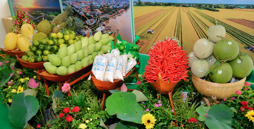 Đồng Tháp đưa sản phẩm OCOP và đặc sản vào không gian kết nối tại TP Hồ Chí Minh Đồng Tháp đưa sản phẩm OCOP và đặc sản vào không gian kết nối tại TP Hồ Chí Minh