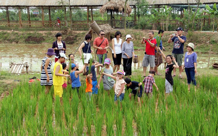 Du lịch nông thôn mở thêm giá trị cho sản phẩm OCOP Du lịch nông thôn mở thêm giá trị cho sản phẩm OCOP