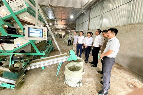 tuyen quang nghiem thu cac de an ho tro thiet bi tien tien trong san xuat cong nghiep va che bien