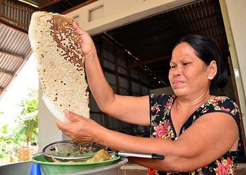 u minh honey sweet drops from the southern melaleuca forest