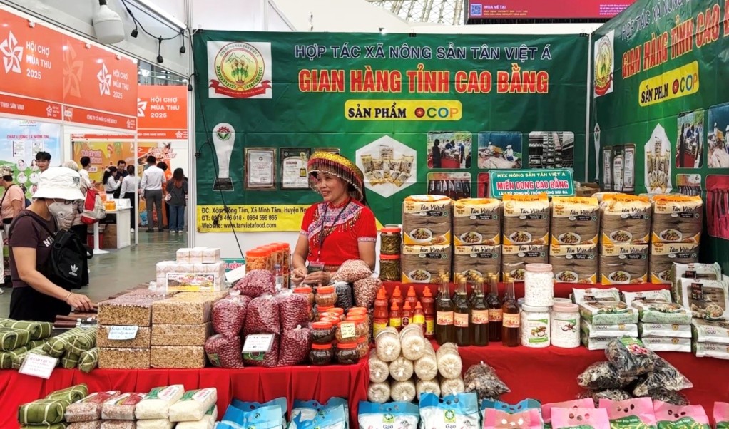 Cao Bằng nâng cao năng lực Hợp tác xã, tạo nền cho sản phẩm OCOP đi xa Cao Bằng nâng cao năng lực Hợp tác xã, tạo nền cho sản phẩm OCOP đi xa