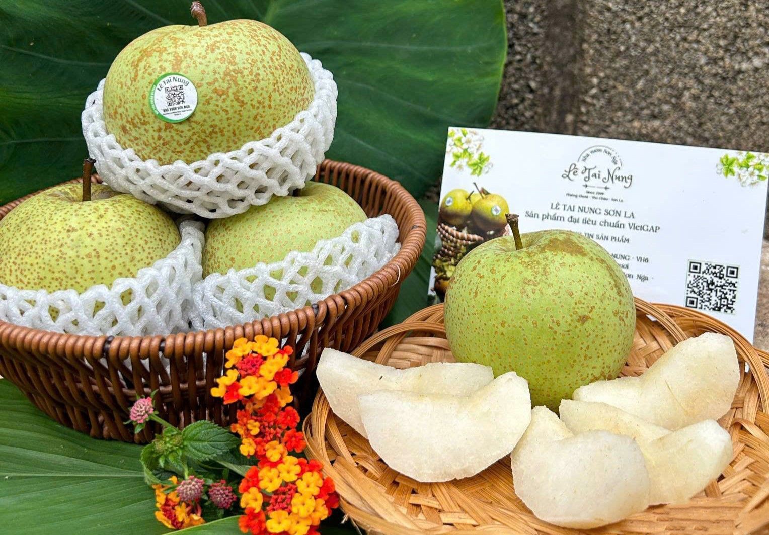 Lê Tai Nung Phiêng Khoài: Số hóa và minh bạch chuỗi cung ứng Lê Tai Nung Phiêng Khoài: Số hóa và minh bạch chuỗi cung ứng