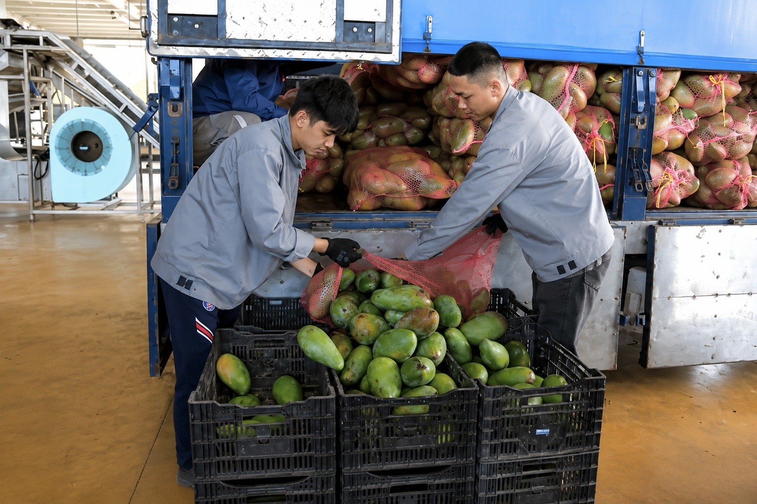 Sơn La: Chế biến sâu để giảm áp lực mùa vụ Sơn La: Chế biến sâu để giảm áp lực mùa vụ