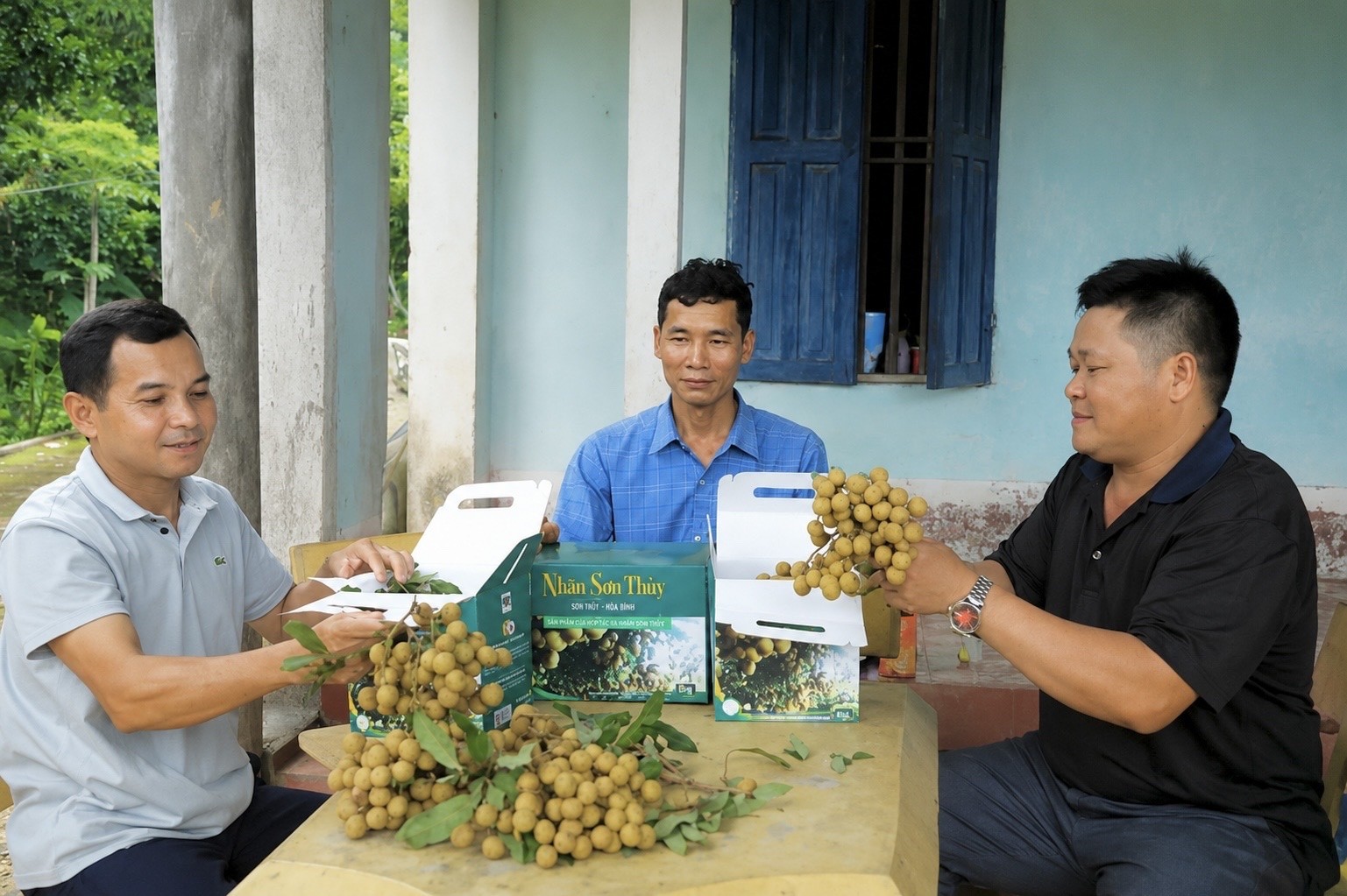 Nhãn Sơn Thủy: Giải bài toán liên kết chuỗi trên vùng nguyên liệu xuất khẩu Nhãn Sơn Thủy: Giải bài toán liên kết chuỗi trên vùng nguyên liệu xuất khẩu