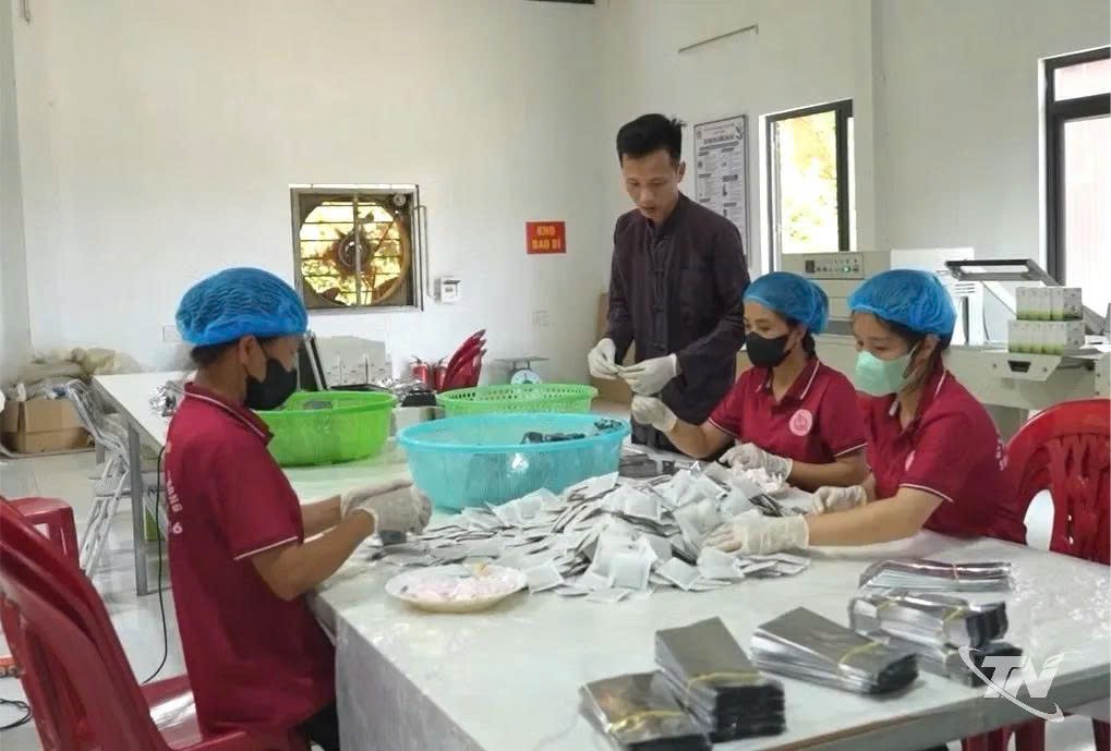 Mướp đắng rừng Yên Trạch mở hướng phát triển sản phẩm OCOP Thái Nguyên Mướp đắng rừng Yên Trạch mở hướng phát triển sản phẩm OCOP Thái Nguyên