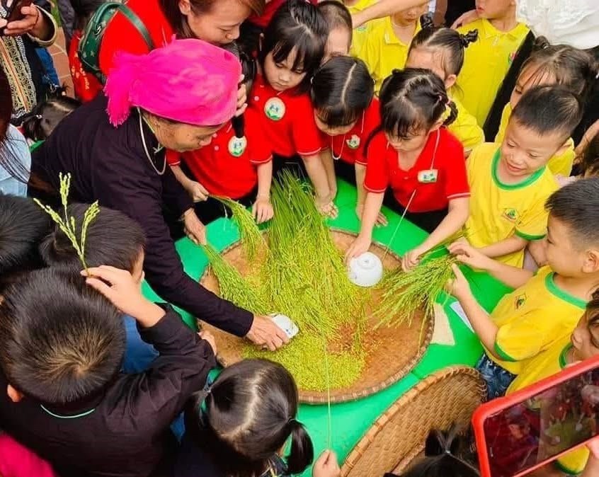 Lào Cai đón du khách mùa cốm vùng cao