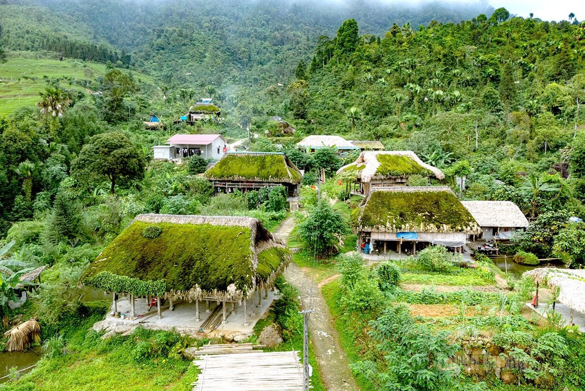Xà Phìn vào mùa vàng dưới những mái nhà rêu xanh Xà Phìn vào mùa vàng dưới những mái nhà rêu xanh