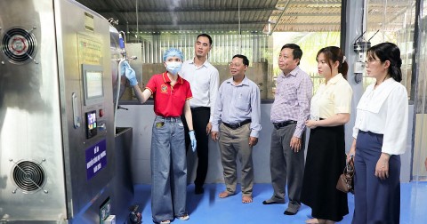 vinh long nghiem thu de an ho tro may moc tien tien trong che bien dua sap say