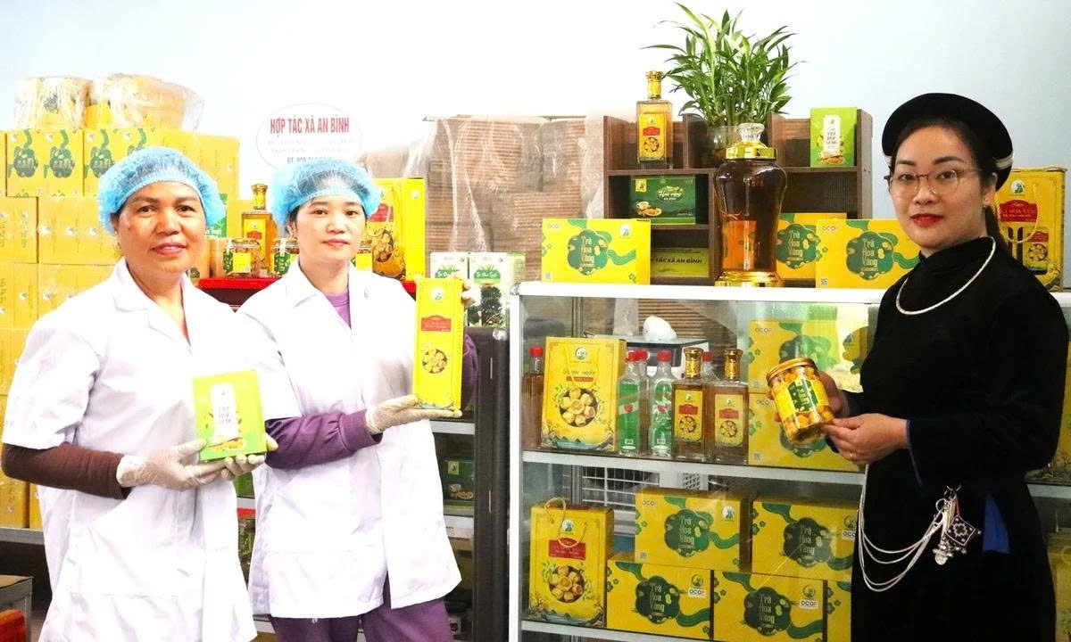 Thái Nguyên phát triển sản phẩm OCOP từ lợi thế vùng nguyên liệu Thái Nguyên phát triển sản phẩm OCOP từ lợi thế vùng nguyên liệu